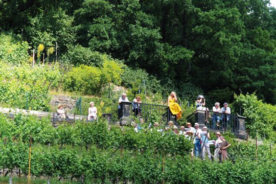 Chor im Weinberg 