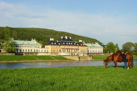 Schloss Pillnitz 