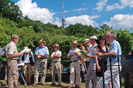 20 Jahre später beim Elbhangfest am Wachwitzer Weinberg 